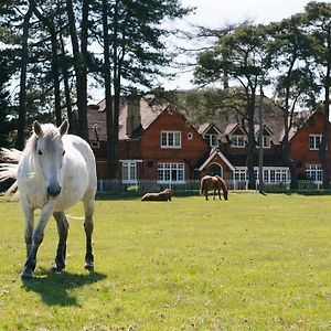 Beaulieu Hotel